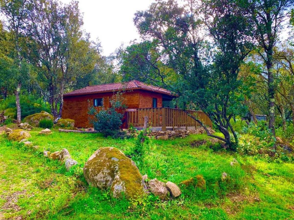 L'Aravone Lodge Sartène 외부 사진